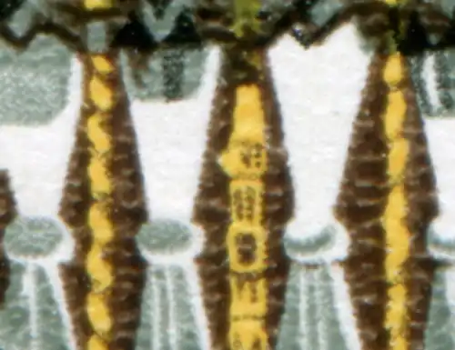 2796 Montres précieuses: PLF jaune rangement à gauche dans le bâton central, case 8, ESSt