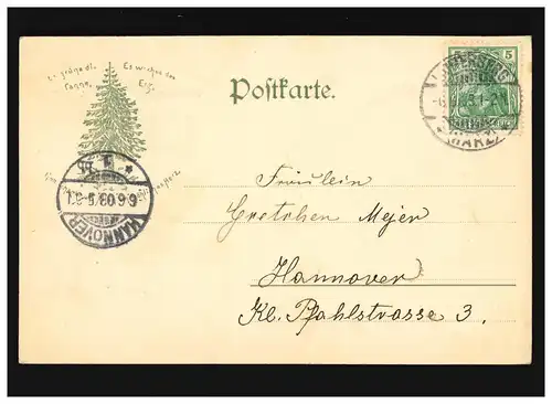 AK Bad Lauterberg Partie aus dem Oderthal, Lauterberg/ Hannover 06.06.1903