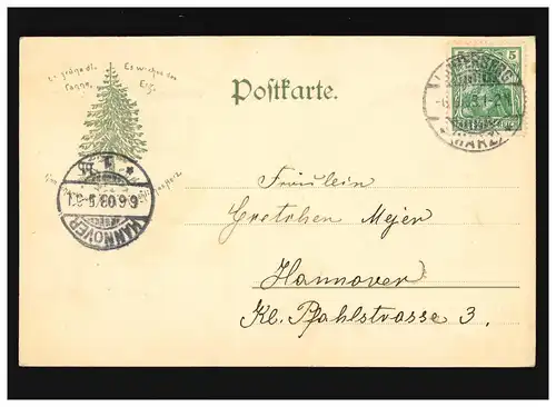 AK Bad Lauterberg Partie de l'Oderthal, Lauterberg/Hanovre 06.06.1903