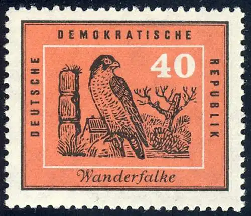 703 Vögel Wanderfalke 40 Pf ** postfrisch