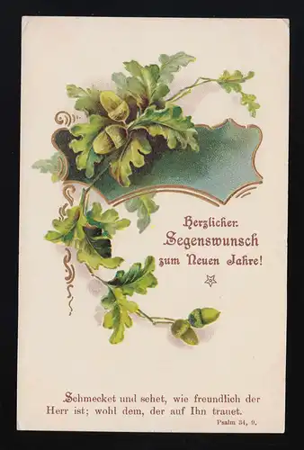 Segenswunsch zum neuen Jahre, Eichenlaub, Psalm 34, 9. Freudenstadt 30.12.1908