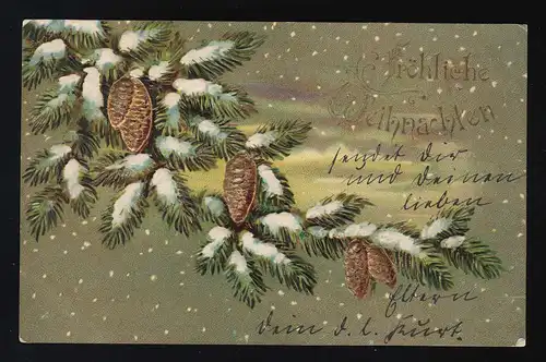 Goldene Tannenzapfen Schnee Reisig, Fröhliche Weihnachten, Naumburg 24.12.1905