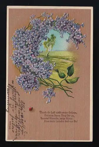 Lilas bouleau chemin scarabée, Par l'air tirer mes salutations Stotternheim 6.6.1912