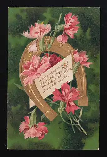 Oeillets de fer à cheval fond vert, "heures ne reviennent jamais" Gisenfeld 28.4.1911