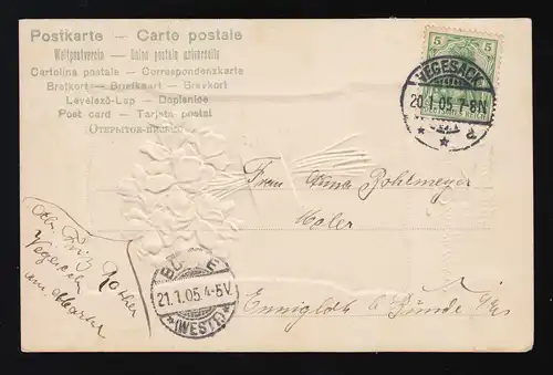 Autruche violette + lasche, Félicitations, Sac à vege / Bünde 20.+ 21.1.1905