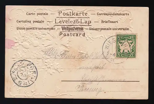 Kornblumen "Zum Unkraut ward' ich lang gezählt" Wieskuhl/ Freising 26.+27.5.1901