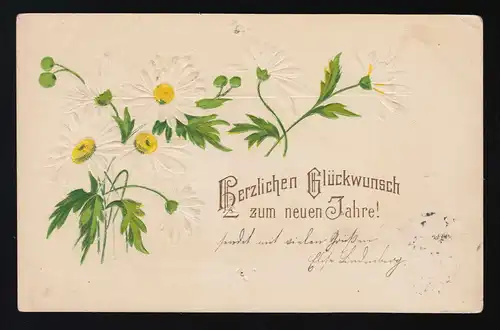 Margeriten auf weißem Grund, Glückwunsch zum neuen Jahre, Berlin S.W.  2.1.1904 