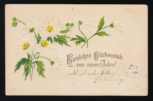 Margeriten sur fond blanc, félicitations pour la nouvelle année, Berlin S.W. 2.1.1904