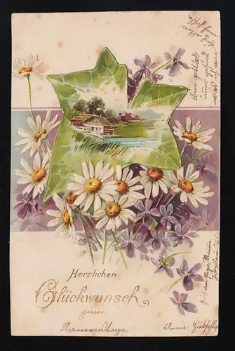 Margeriten Veilchen, Haus See, Glückwunsch, Burgweiler nach Immenstaad 30.8.1906