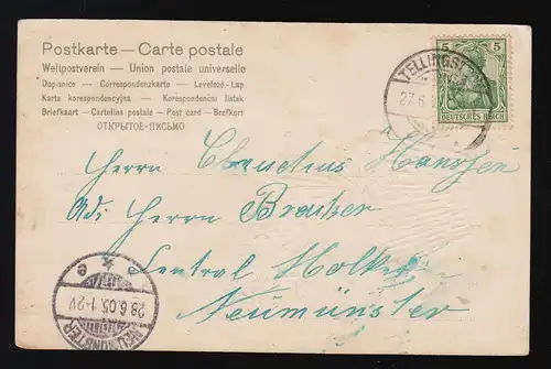 Fleurs roses Pot Félicitations anniversaire Tellingstedt/Neumünster 27. + 28.6.1905