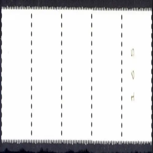 1562u SWK Gum jaune 400 Pf, bandes de 5 + n° **