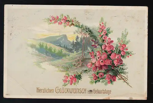 Blick vom Tal in Berge, rote Blüten, Glückwunsch Geburtstag, Hannover 24.4.1914