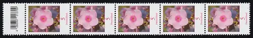3296 Phlox 5 cent 500 petites bandes de 5 bandes avec champ de code (excepté 4) **