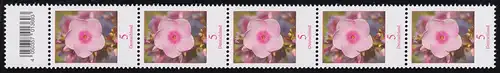 3296 Phlox 5 cent 200 petits n°, bandes de 5 avec champ de code (excepté 4) **