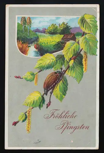 Maikäfer auf einem Zweig vor Landidylle, Fröhliche Pfingsten, Nordenham 6.6.1909