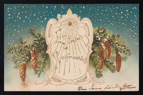 Weihnachtsstern Schnee Reisig, Ein Frohes Weihnachtsfest, Stubenberg 22.12.1902