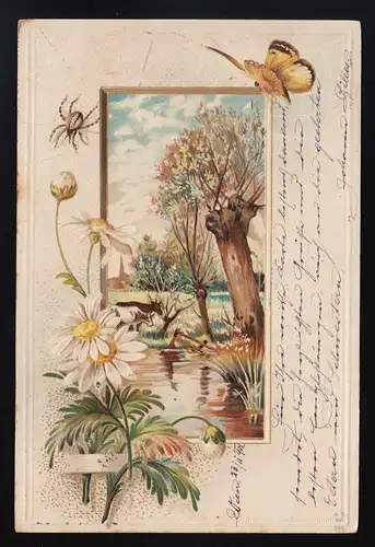 Saule sur la rivière, peinture Margeriten, papillon Araignée, Vienne 23.1.1901