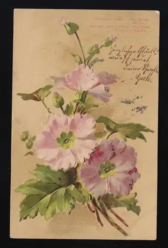 Primelchen crie: L'hiver est éteint, Fleur Oldenburg /Bremen Bahnpost 3.7.1906