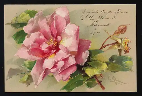 rosa Rosenblüte Knospen Künstlerkarte sign. Gemälde, Berlin Postamt 38 11.9.1901
