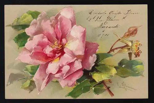 rose rose fleur bourgeons carte d'artiste sign. peinture, Berlin Postamt 38 11.9.1901