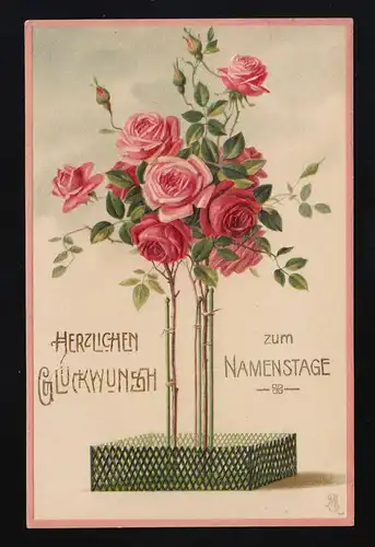 2 souches de rose rose + rouge dans la clôture verte, Félicitations le jour de la fête Munich 13.9.1908