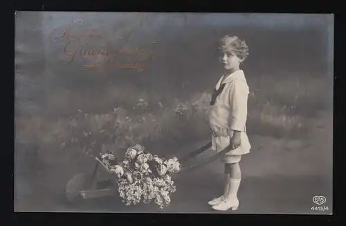 Photo AK Filles & brouette plein fleurs Félicitations anniversaire gel. 30.11.1916