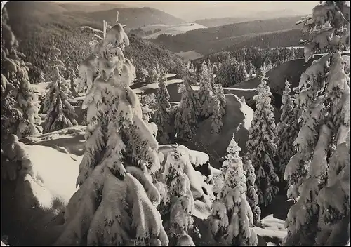 Le temple de Landpost Meuselbach-Nachzmühle (Thür.) A, RUDOLSTADT 3.1.60 sur AK