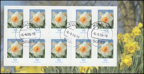 61 Fleurs: Narcisse, cachet quotidien KÖLN 101 a - 6.6.06