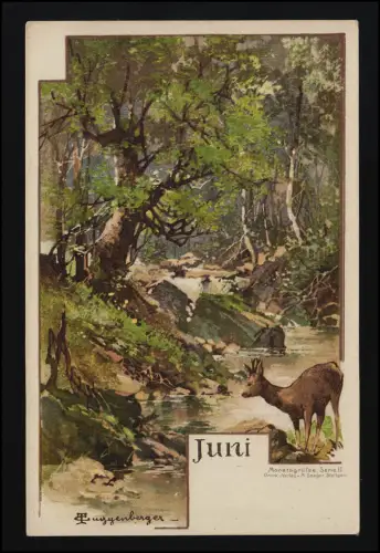 Monatsgrüße Serie II Juni Reh am Bach, T. Guggenberger M.Seeger, ungebraucht