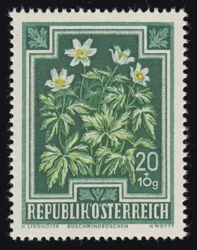 869 Anti-Tuberkulose-Fonds, Buschwindröschen, 20 g + 10 g, postfrisch **