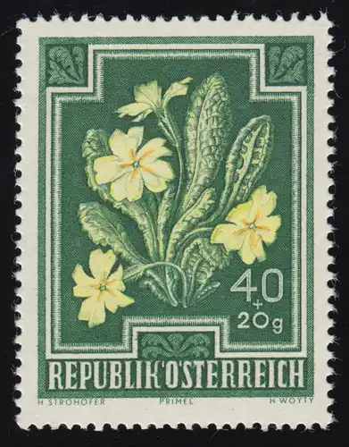 871 Anti-Tuberkulose-Fonds, Kissenprimel, 40 g + 20 g, postfrisch **