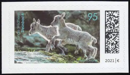 3629 Jeunes animaux sauvages: Capricorne autocollant de FB 109, ** frais de port