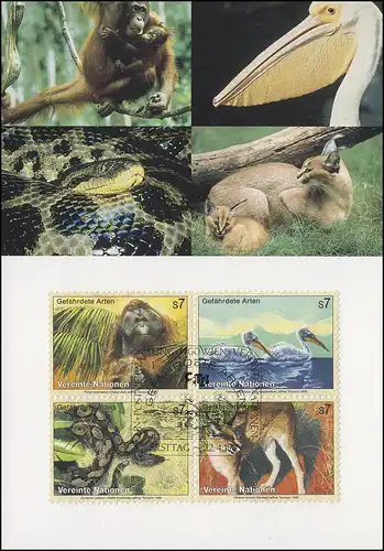 MK 61 de l'ONU Vienne 287-290 Espèces menacées Faune 1999, carte officielle maximale