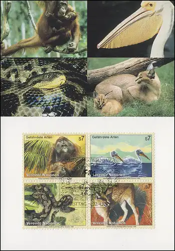MK 61 von UNO Wien 287-290 Gefährdete Arten Fauna 1999, amtliche Maximumkarte