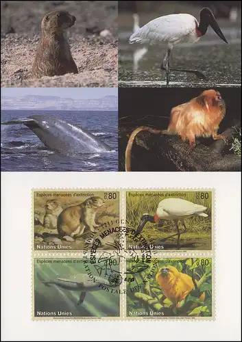 MK 23 de l'ONU Genève 245-248 Espèces menacées Faune 1993 - carte officielle maximale