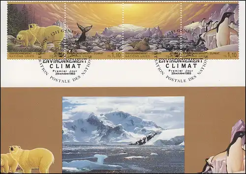MK 20 de l'ONU Genève 239-242 Changement climatique 1993, carte officielle maximale