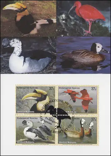 MK 80 de l'ONU New York 890-893 Espèces menacées Oiseaux 2003, carte maximale