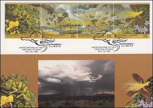 MK 19 de l'ONU New York 657-660 Changements climatiques 1993, carte officielle maximale