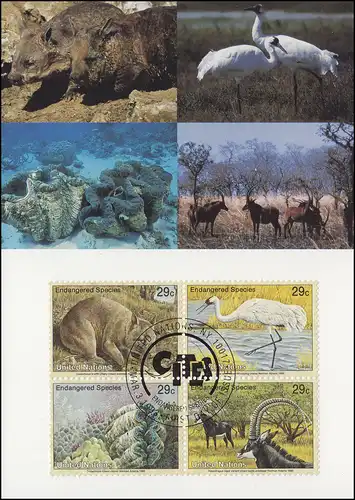 MK 16 von UNO New York 644-647 Gefährdete Arten Fauna 1993, amtl. Maximumkarte 