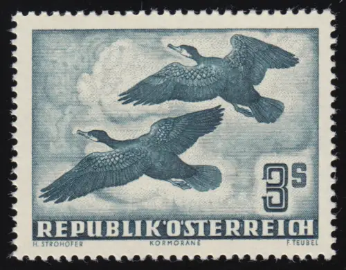 985 oiseaux (III), cormoran (Phalacrocorx carbon) 3 S, frais par la poste **