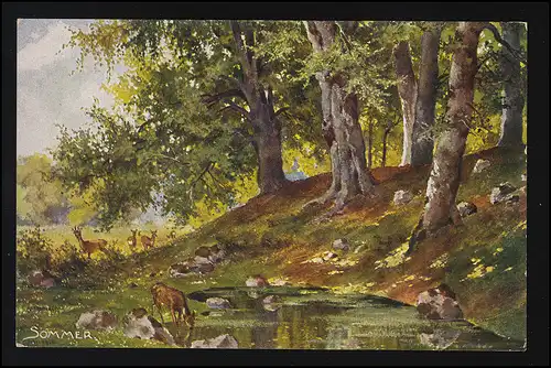 Sommer, äsende Rehe Wald, See, Wiese,  Künstler signiert, No. 155, ungebraucht