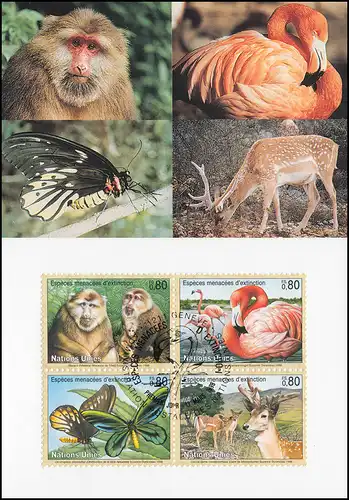 MK 54 von UNO Genf 330-333 Gefährdete Arten Fauna 1998, amtliche Maximumkarte