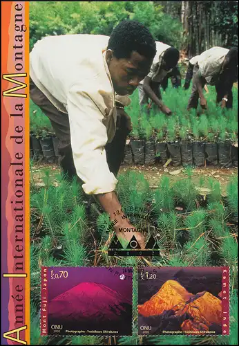 MK 77 von UNO Genf 441+443 Jahr der Berge 2002, amtliche Maximumkarte