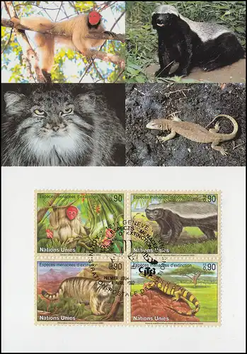 MK 72 von UNO Genf 434-437 Gefährdete Arten Fauna 2002, amtliche Maximumkarte