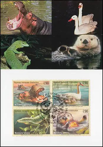 MK 63 von UNO Genf 385-388 Gefährdete Arten Fauna 2000, amtliche Maximumkarte