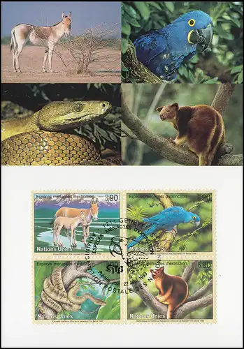 MK 60 von UNO Genf 369-372 Gefährdete Arten Fauna 1999, amtliche Maximumkarte