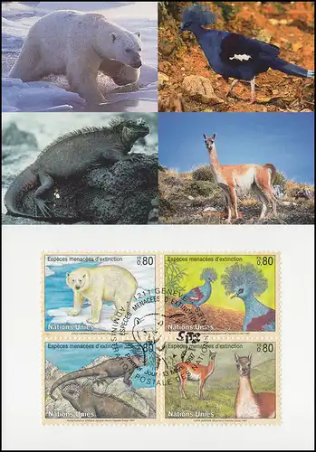 MK 48 von UNO Genf 305-308 Gefährdete Arten Fauna 1997, amtliche Maximumkarte