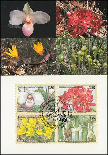 MK 39 de l'ONU Genève 288-291 Espèces menacées Flora 1996, carte officielle maximale