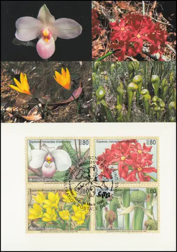 MK 39 de l'ONU Genève 288-291 Espèces menacées Flora 1996, carte officielle maximale