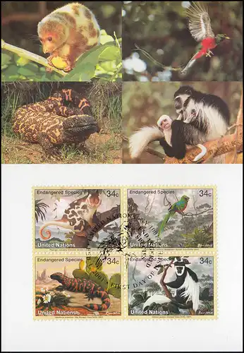 MK 65 von UNO New York 856-859 Gefährdete Arten Fauna 2001, amtl. Maximumkarte 